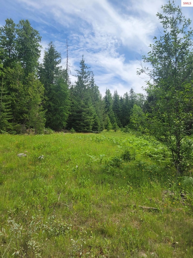 nna Rising Hawk Ridge, Sandpoint, ID 83864 - photo 2