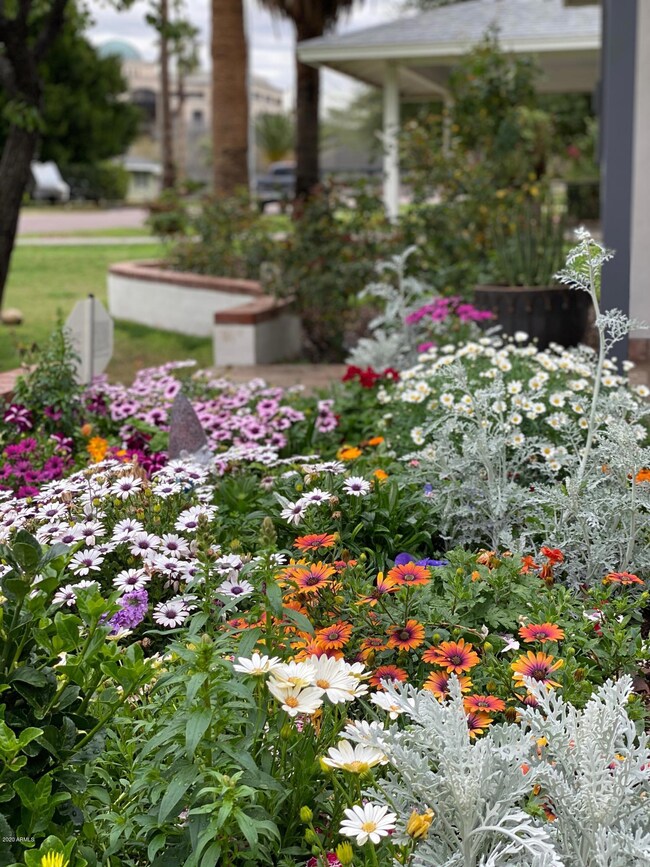 Flowerbed Entry