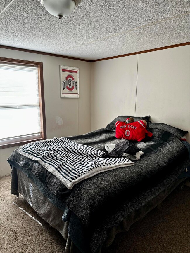 4296 Birmingham Ave, Wayland, MI 49348 - photo 7