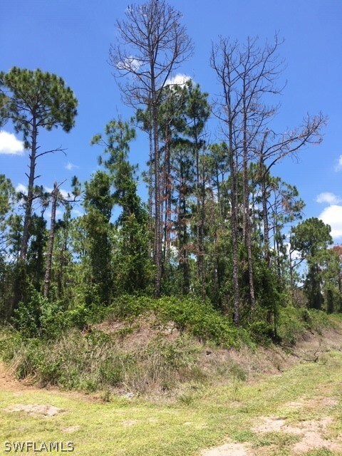 Back end of lot - canal will be to the right
