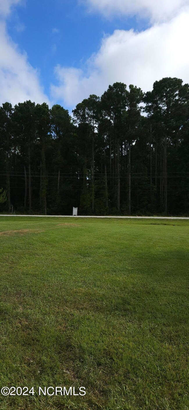 Front yard