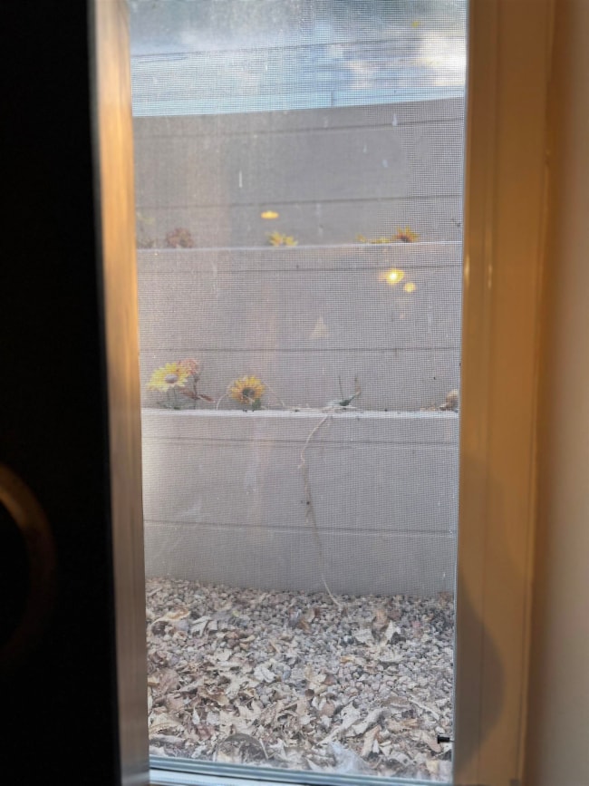 101 Alice Ave, Newton, KS 67114 - photo 3