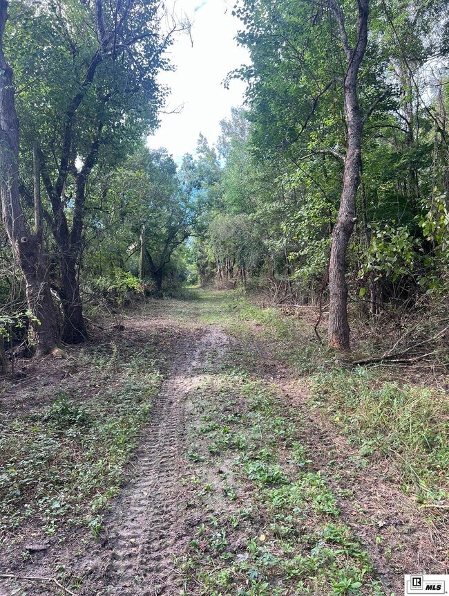 0 Old Snipe Rd, Ruston, LA 71270 - photo 5