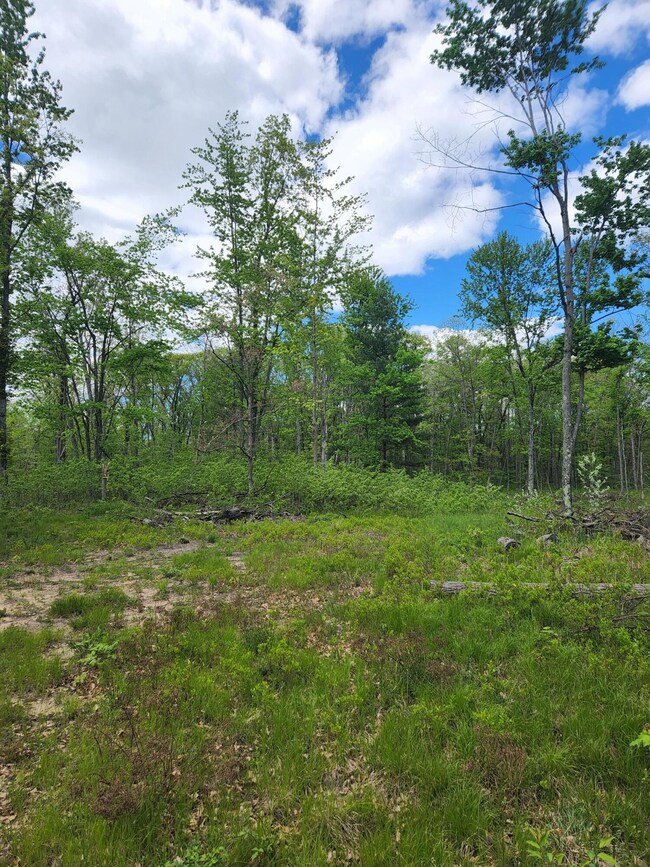 9577 N Woodbridge Dr Ave, Bitely, MI 49309 - photo 2