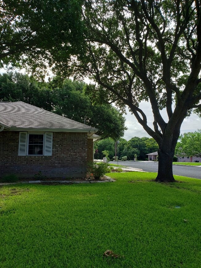 106 Tanglewood Dr, Fredericksburg, TX 78624 - photo 5