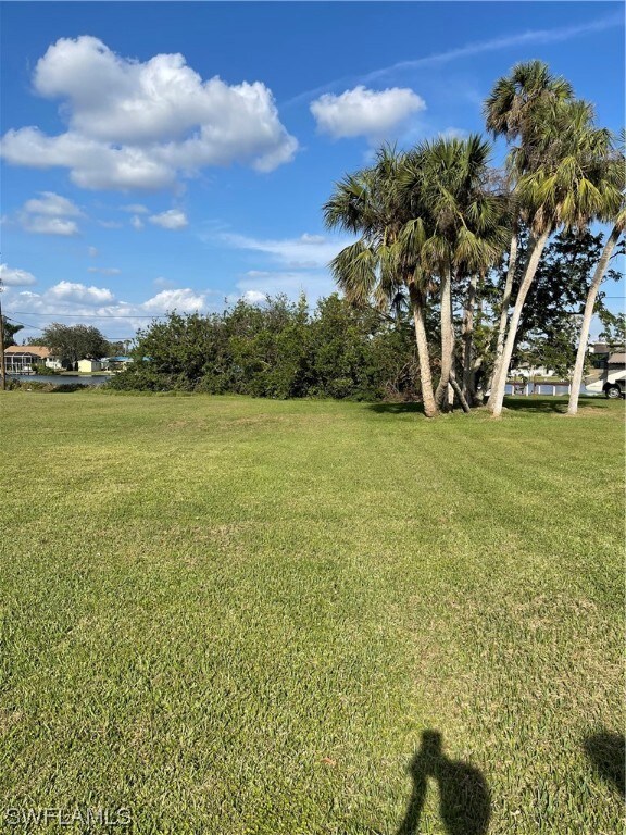 Back yard