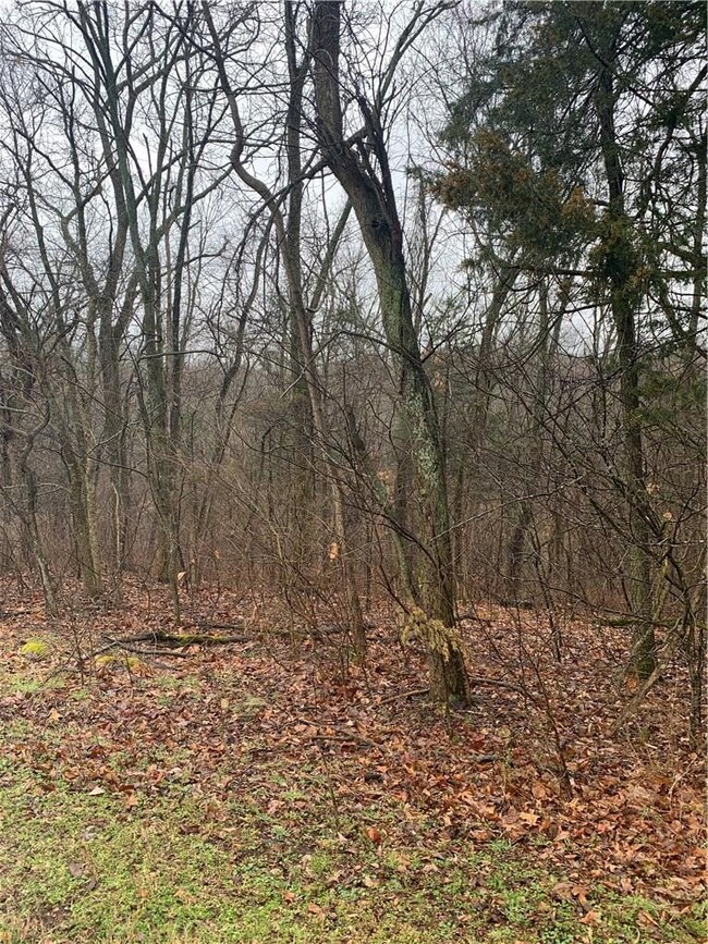 15 Naworth Ln, Bella Vista, AR 72714 - photo 3