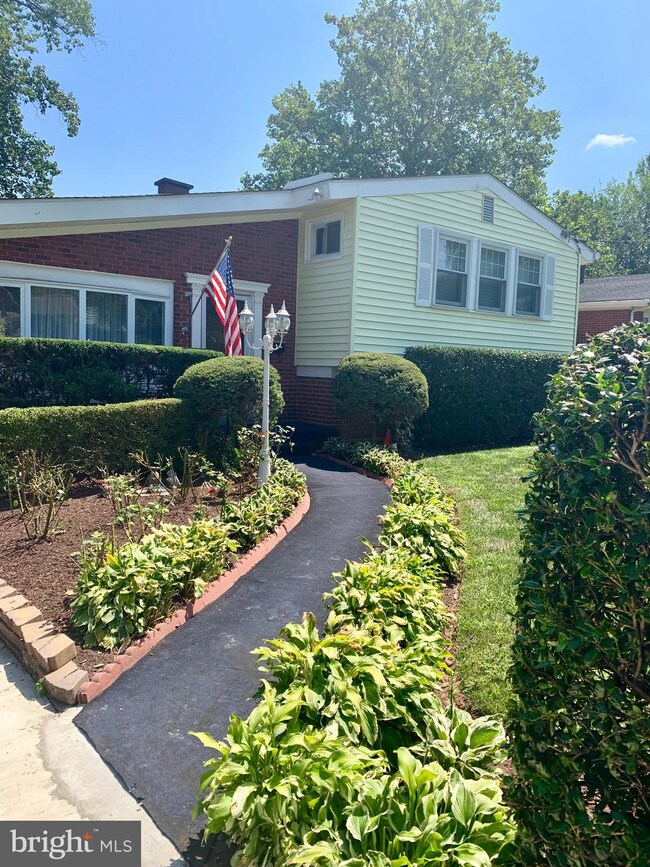 13007 Matey Rd, Silver Spring, MD 20906 - photo 4