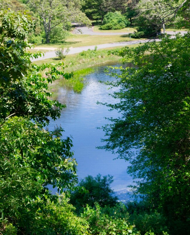 11 Ploughshare Ln, Oak Bluffs, MA 02557 - photo 4