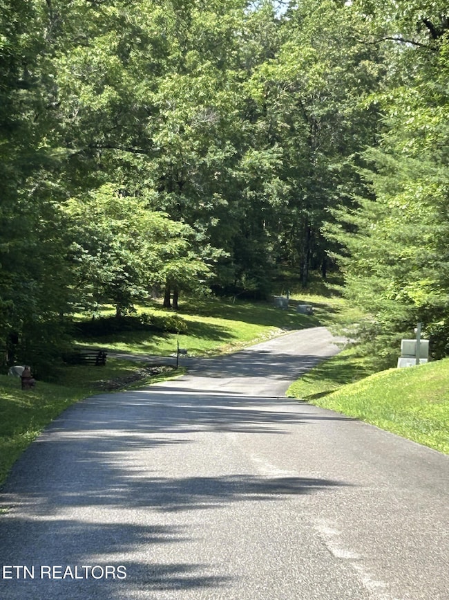 0 Bill Swain Dr unit 1305241, Oneida, TN 37841 - photo 3