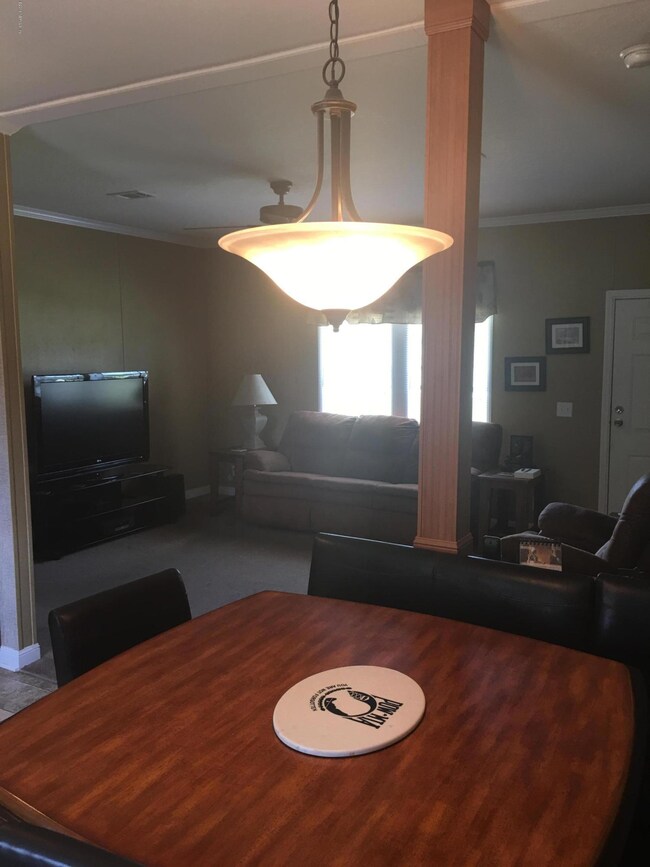 3295 Thunder Rd, Middleburg, FL 32068 - photo 6