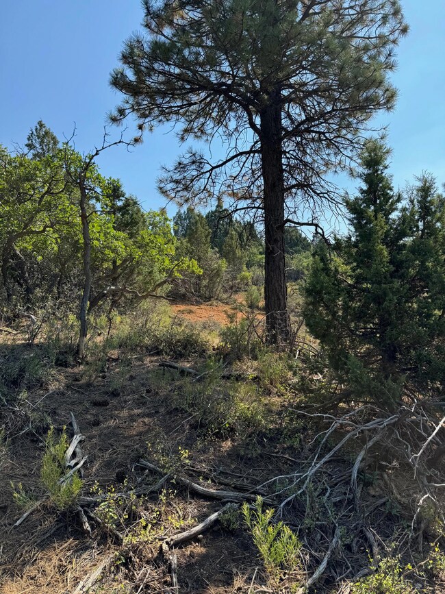 2450 Manitoban Trail, Alton, UT 84710 - photo 5