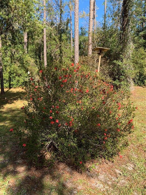 21601 SW 88th Place Rd, Dunnellon, FL 34431 - photo 5