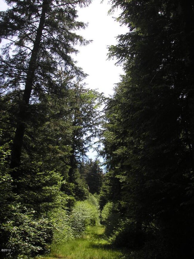 trees