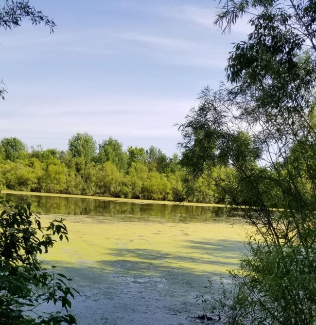 Best Pond