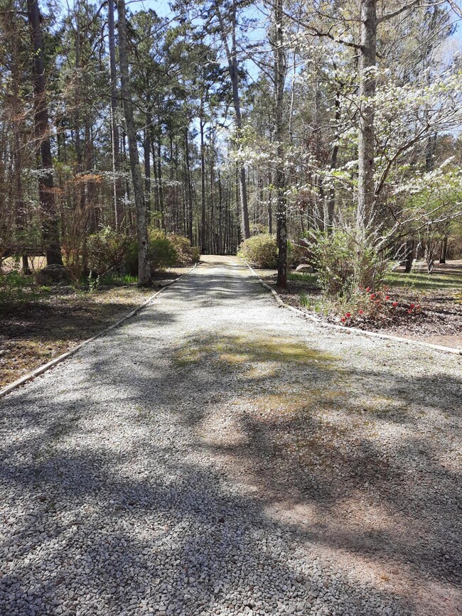 Driveway