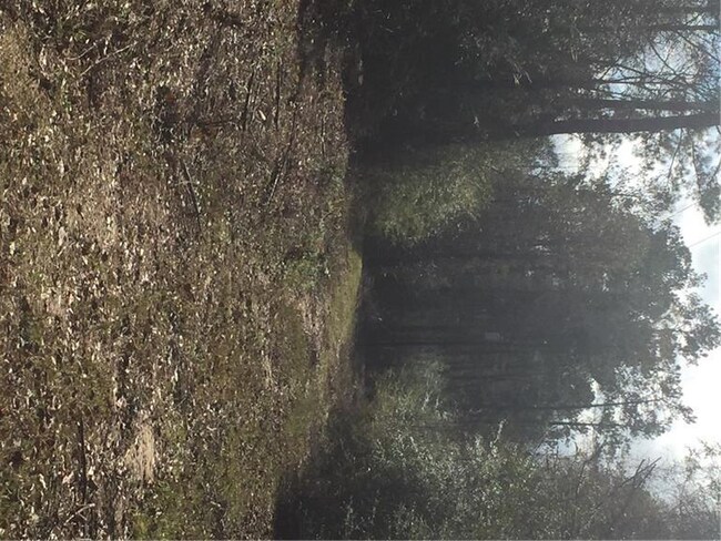 24375 Pope Rd, Franklinton, LA 70438 - photo 3