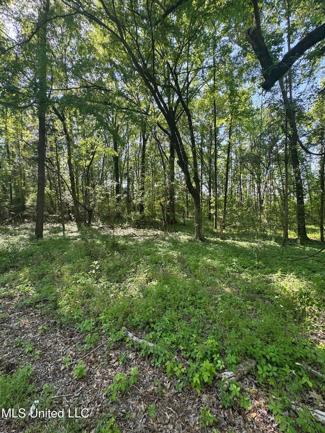 0001 Old Highway 471, Brandon, MS 39042 - photo 7