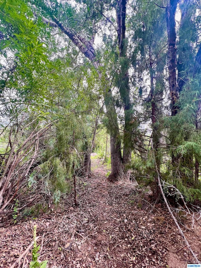 5 Chestnut St unit TRACT 1A & 1B, Mimbres, NM 88049 - photo 2