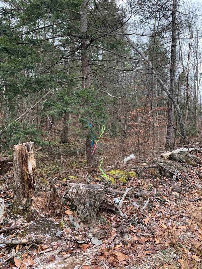 Map 401 Lot 8 Dean Farm Rd, Jaffrey, NH 03452 - photo 2