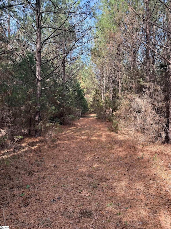 00 High Point Rd, Saluda, SC 29138 - photo 3