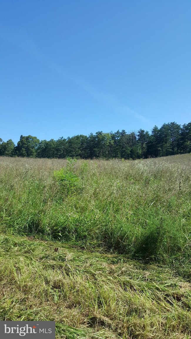 0 Dellinger Gap Rd unit 1002764866, Edinburg, VA 22824 - photo 3