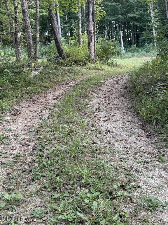 5855 Olney Run Rd, McConnelsvle, OH 43756 - photo 3