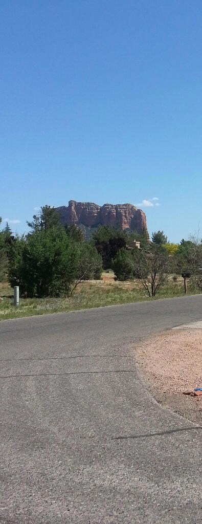 Shirley photo number 7