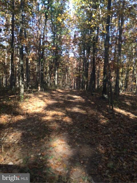 0 Green Oak Ln unit 1004116023, Berkeley Springs, WV 25411 - photo 2