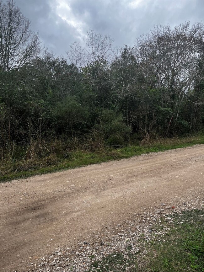 0 Octavo, Brazoria, TX 77422 - photo 3