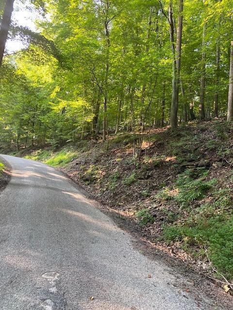 1256 Taos Ln, Sugar Grove, OH 43155 - photo 3