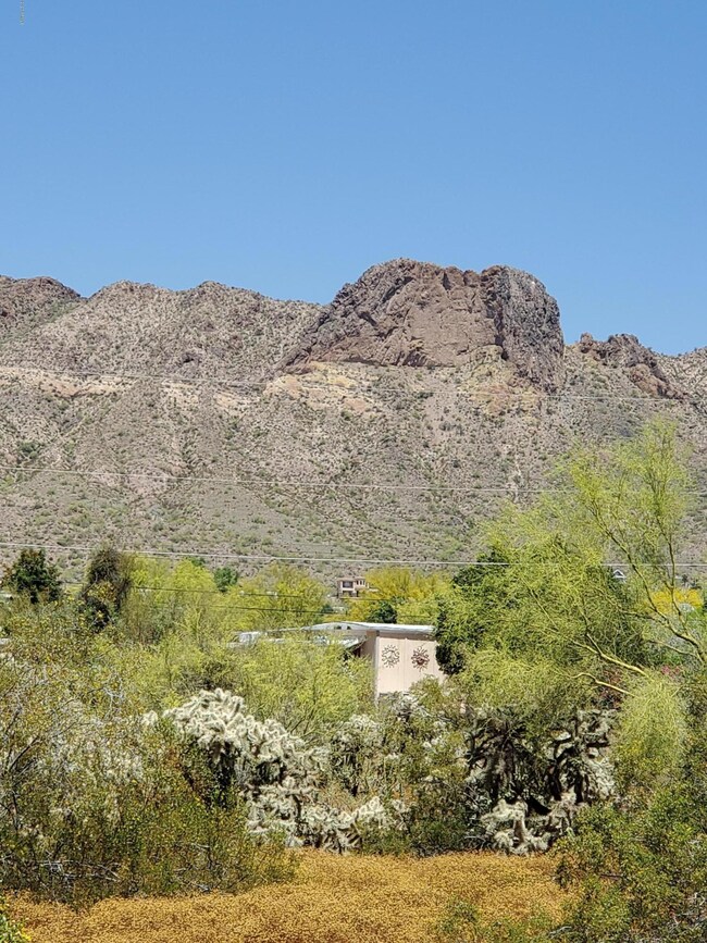 views goldfield