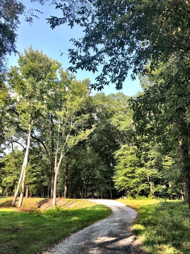 112 Rivermist, Macon, GA 31210 - photo 4