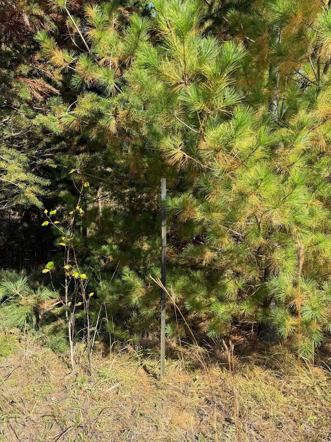 TBD Moonlight Ln SW, Bemidji, MN 56601 - photo 5