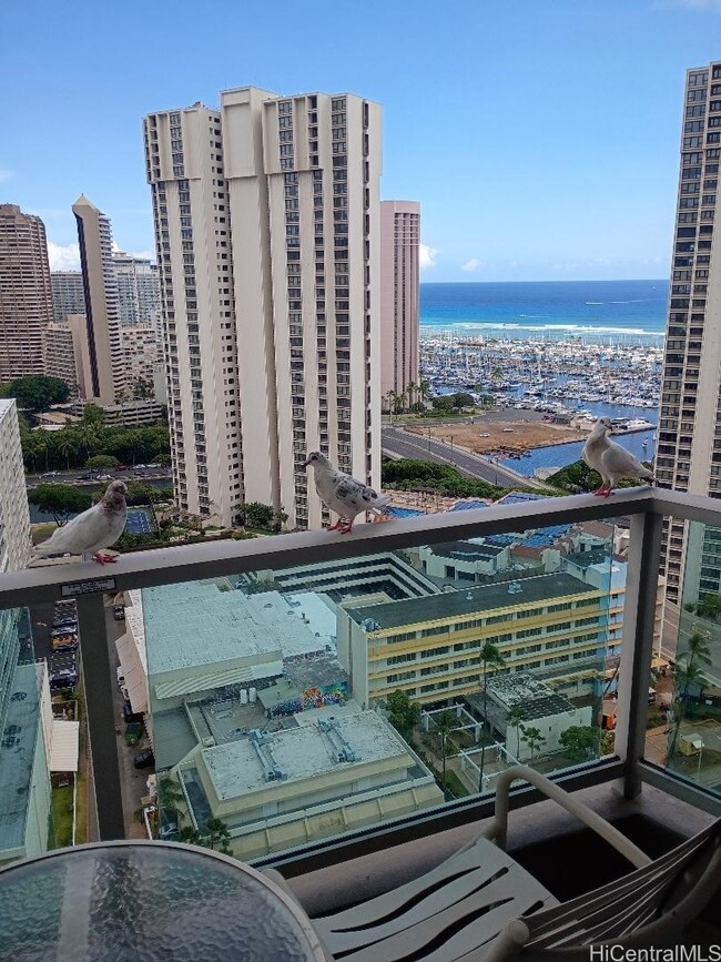 Lanai view