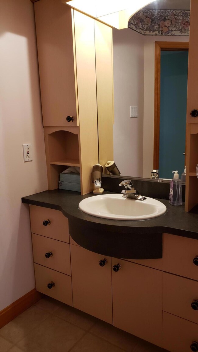 main bath vanity