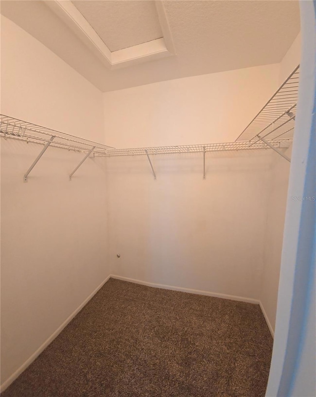 4225 San Rafael Ave, New Port Richey, FL 34655 - photo 6