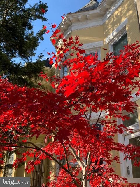 516 G St NE, Washington, DC 20002 - photo 5