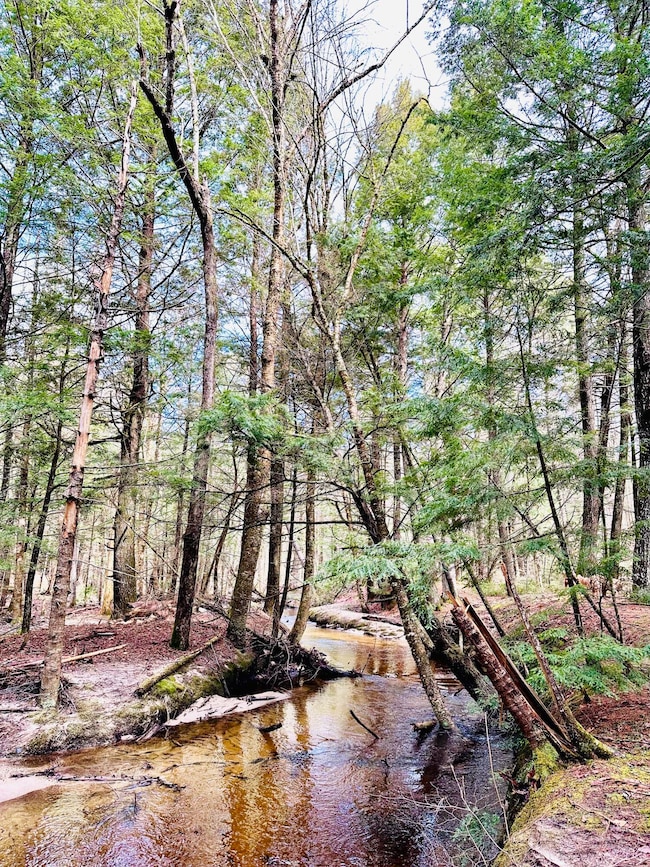 50 Mccarthy Rd, New Gloucester, ME 04260 - photo 3