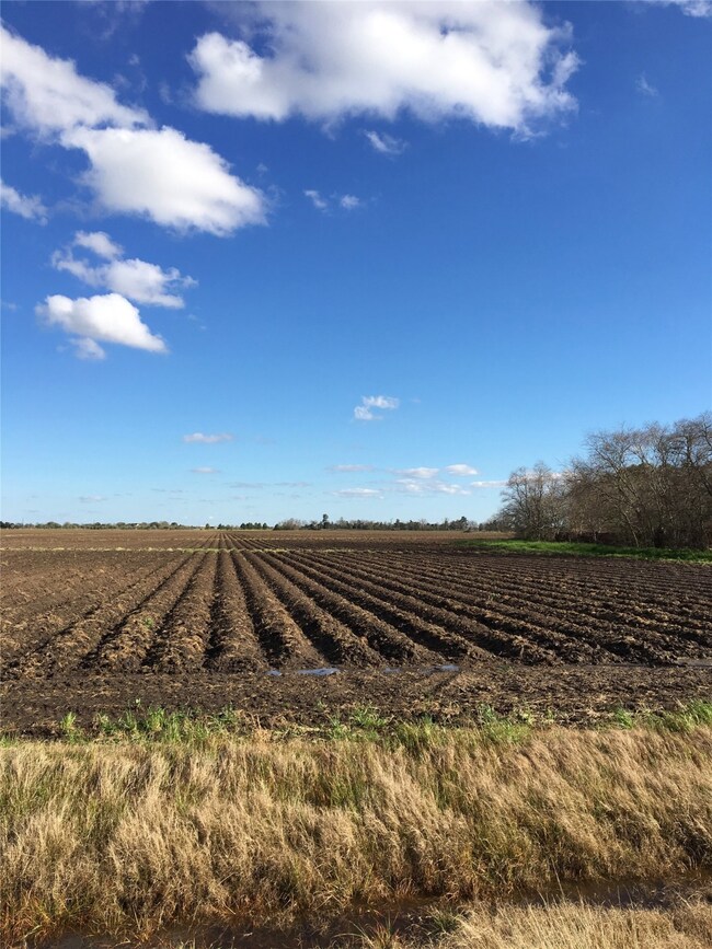 Tract B Boone Rd, Needville, TX 77461 - photo 4