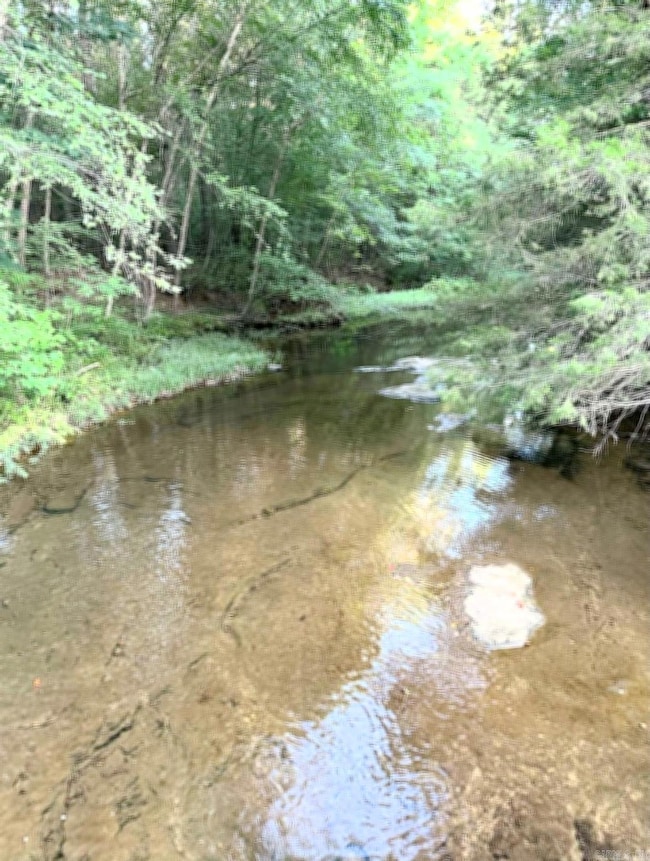 1790 Miller Point Rd S, Quitman, AR 72131 - photo 5