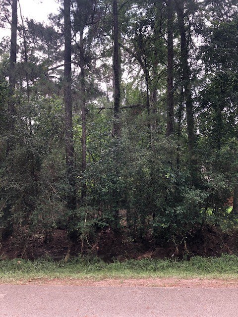 0 Shadberry, Magnolia, TX 77354 - photo 4