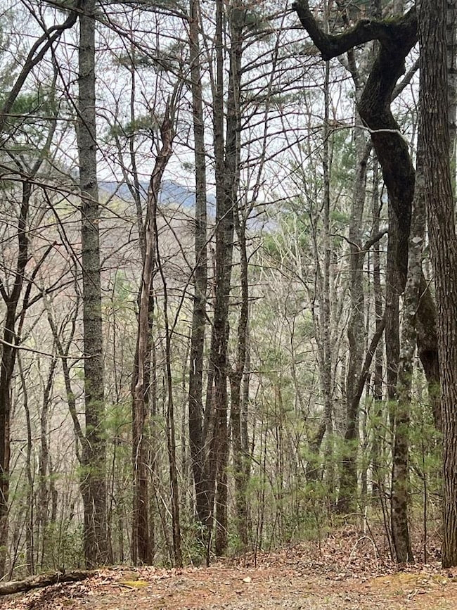 Tract 14 Eagles View, Highlands, NC 28741 - photo 7