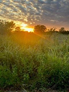 Looking West from the street