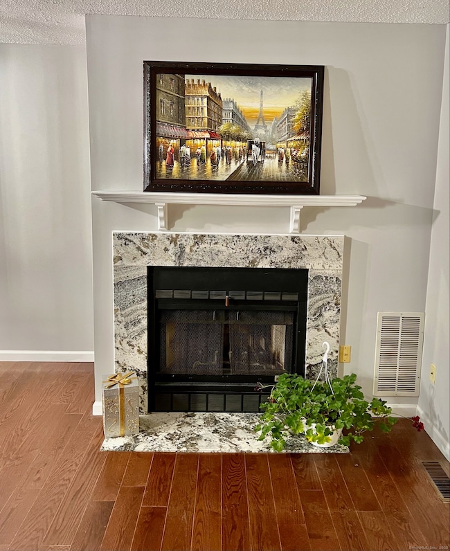 308 Conestoga Way, Glastonbury, CT 06033 - photo 5