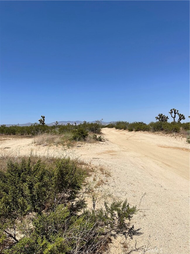 0 Backus Rd Quailhead Rd unit SR23215491, Mojave, CA 93501 - photo 4