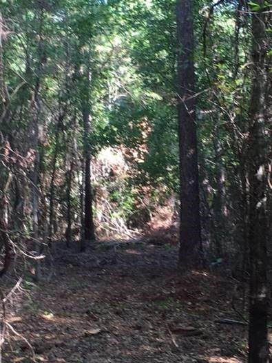 336 Gumm Cemetery Rd NE, Milledgeville, GA 31061 - photo 7