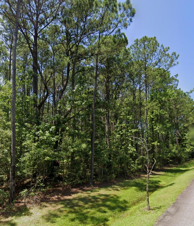 0 Sportsman Island Dr unit 25025614, Wando, SC 29492 - photo 4