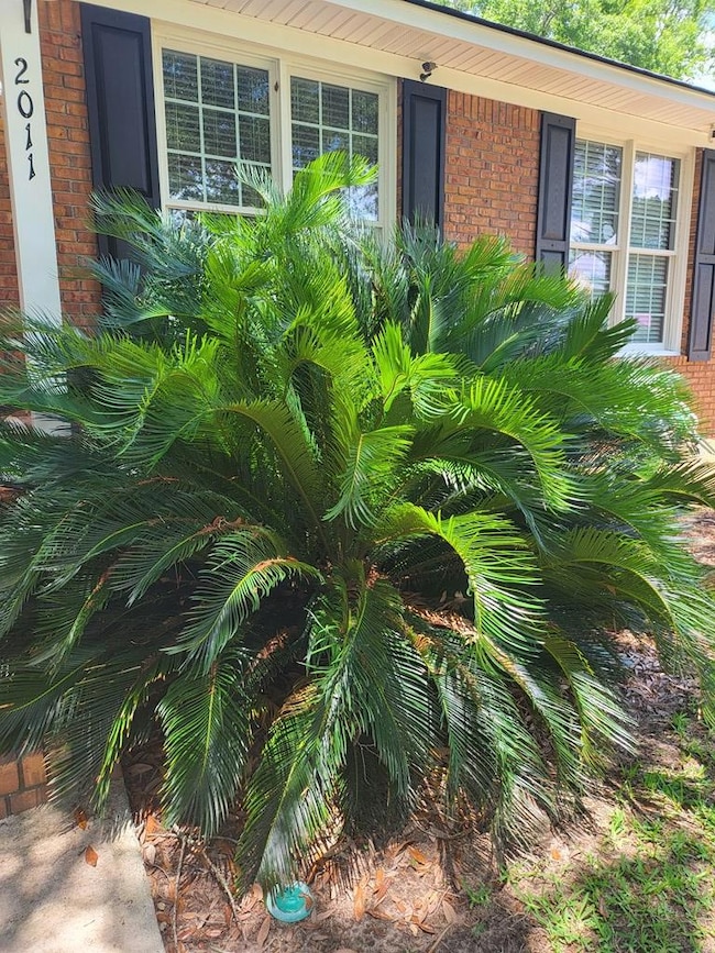 2011 Acker Dr, Albany, GA 31707 - photo 3