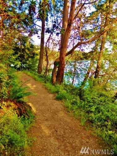 17929 E Clear Lake Blvd SE, Yelm, WA 98597 - photo 4